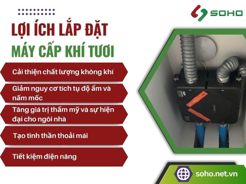 loi-ich-may-cap-khi-tuoi-soho