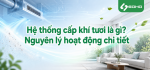 Hệ thống cấp khí tươi là gì? Nguyên lý hoạt động chi tiết