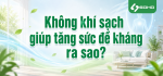 Không khí sạch giúp tăng sức đề kháng ra sao?