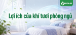 Lợi ích của khí tươi phòng ngủ