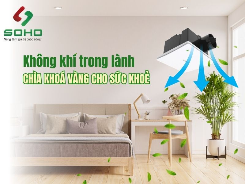 quat-thong-gio-phong-ngu