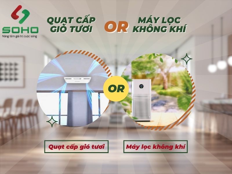 nen-chon-lap-dat-quat-cap-gio-tuoi-hay-may-loc-khong-khi